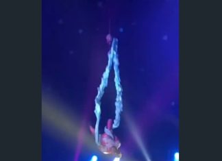 URGENTE: Trapezista sofre grave acidente durante apresentação no Circo Porto Rico em Russas (CE)