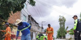 Sinalização de vias, melhorias operacionais e educação de trânsito nas escolas marcam 100 dias de atuação da AMT