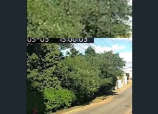 Gentileza termina em violência brutal: idoso é espancado após ajudar casal que caiu de bicicleta em Gurupi (TO)