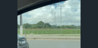 Enquanto revitaliza calçadão, Lagoa do Tabapuá segue tomada por aguapés em Caucaia