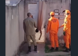 Homem embriagado fica pendurado em muro de condomínio ao tentar invadir local em busca de ex-companheira, em Goiás