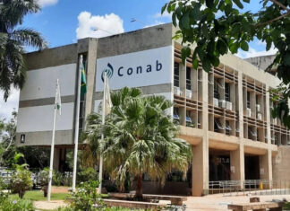 Concurso da Conab tem inscrições prorrogadas até 20 de maio; salários chegam a R$ 8,1 mil