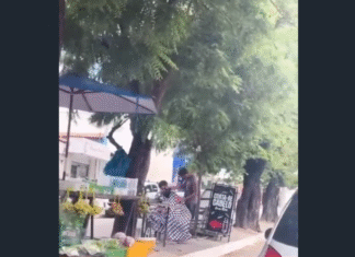 Jovem cabeleireiro realiza corte em canteiro central da Av. Dom Almeida Lustosa e viraliza nas redes sociais