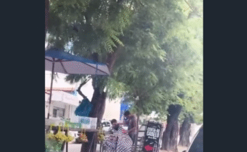Jovem cabeleireiro realiza corte em canteiro central da Av. Dom Almeida Lustosa e viraliza nas redes sociais