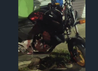 Mais um acidente na Rua Jabuti com Paulino Lemos: colisão entre ônibus e motocicleta enquanto vítima de atropelamento era socorrida