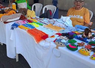 Caucaia realiza 1ª edição da Feira Agrocaucaia e fortalece agricultura familiar no município