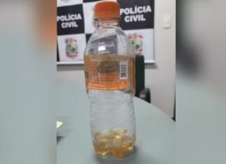 Tragédia no interior do Ceará: dois homens morrem após ingerirem veneno de lagarta pensando ser cachaça