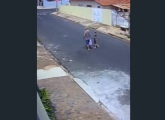 Idoso de 78 anos é atacado por pitbull ao levar bisneta para escola em São Paulo