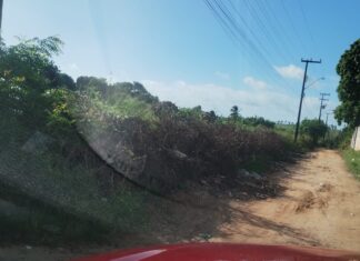 Acúmulo de lixo em rua de Caucaia revela descaso da gestão e coleta ineficiente