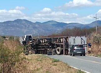 Caminhoneiro perde controle e tomba veículo após ataque de abelhas entre Tamboril e Catunda