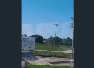 Lagoa do Tabapuá é tomada por aguapés e população cobra limpeza da Prefeitura de Caucaia