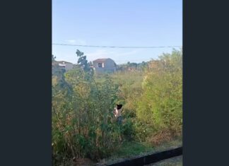 Corpo de homem é encontrado próximo à linha férrea no Parque Potira, em Caucaia