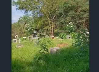 Cemitério do Parque Potira, na Grande Jurema, sofre com abandono e falta de manutenção