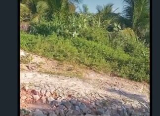 Moradores do Icaraí denunciam abandono da Rua Mathilde Conti de Amaral e cobram ação da Prefeitura de Caucaia