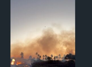 Incêndio atinge vegetação e lixo às margens da lagoa do Pabussu, em Caucaia
