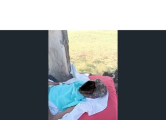 Hospital de Caucaia admite falha em caso de idoso abandonado em campo após alta médica e afasta servidores