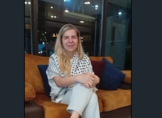 Luizianne Lins fala pela primeira vez após deixar Israel e relata dias de detenção ilegal