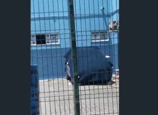 Viatura da Guarda Civil Municipal de Caucaia é largada no pátio após acidente com animais na pista