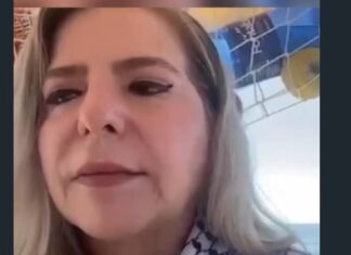 Israel intercepta flotilha com ajuda humanitária para Gaza; deputada Luizianne Lins está entre os detidos