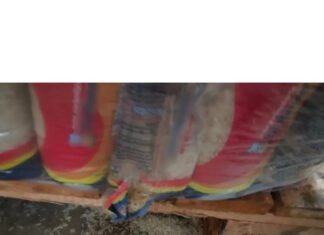 Supermercado Frangolândia é interditado pelo Decon após flagrante de roedores e falhas sanitárias em Fortaleza