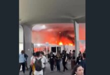 Incêndio causa correria e esvazia debates na COP30; fogo começou em área próxima ao estande do Brasil