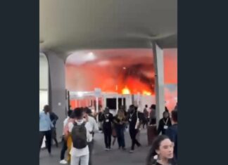 Incêndio causa correria e esvazia debates na COP30; fogo começou em área próxima ao estande do Brasil