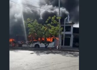 Ônibus do transporte coletivo pega fogo no Conjunto Ceará, em Fortaleza