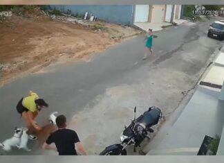 Ataque de pitbull em Ubajara termina em agressão contra mulher e expõe falhas na fiscalização em vias públicas