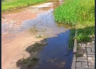 Moradores do Pacheco denunciam abandono de campo e risco estrutural em escola da comunidade