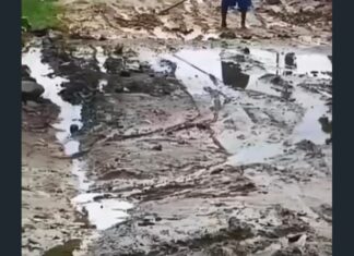 Moradores denunciam buracos e abandono na Rua Padre Cícero, no bairro Picuí