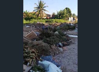 Área volta a acumular lixo após protesto de ex-presidente da Câmara e expõe falhas na atuação do IMAC em Caucaia