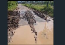 Estrada com lama e buracos impede passagem de transporte escolar em Lagoa dos Porcos, denunciam moradores