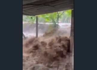 Chuva provoca enchente na Tucunduba e moradores cobram melhorias em Caucaia