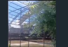 Quadra de escola é interditada por risco estrutural e revolta moradores no Capuan, em Caucaia