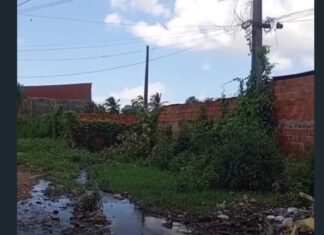Abandono: lama, esgoto a céu aberto e água suja marcam rotina de moradores no São Miguel, em Caucaia