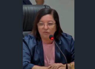 Vereadora de Juazeiro do Norte chama governador Elmano e secretário Chagas Vieira de mentirosos após polêmica sobre agenda