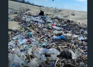 Lixo nas margens da Lagoa do Cauípe gera críticas e alerta para descaso ambiental em Caucaia