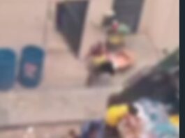 Fome recua no país, mas cena de famílias disputando comida no lixo expõe ferida aberta em Fortaleza