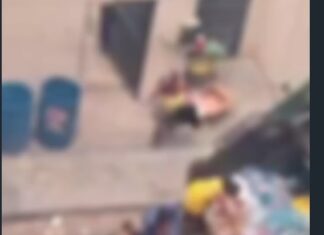 Fome recua no país, mas cena de famílias disputando comida no lixo expõe ferida aberta em Fortaleza