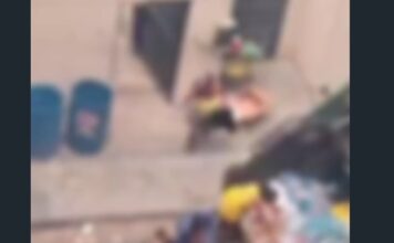 Fome recua no país, mas cena de famílias disputando comida no lixo expõe ferida aberta em Fortaleza