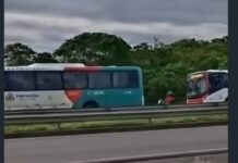 Ônibus com nova identidade visual começam a circular em Fortaleza