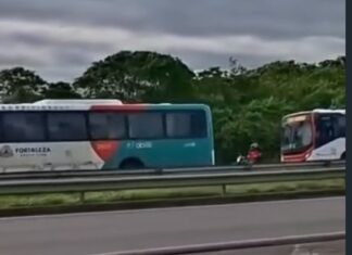 Ônibus com nova identidade visual começam a circular em Fortaleza