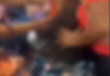 Briga entre mulheres dentro de trem do VLT em Fortaleza gera tumulto e viraliza nas redes sociais