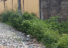 Ruas do Icaraí sofrem com abandono e colocam moradores em risco