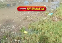 Moradores da comunidade Nova Cigana denunciam abandono e cobram ação da Prefeitura