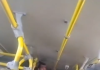 Motorista de ônibus denuncia desrespeito de passageiro durante viagem na Região Metropolitana do Recife