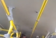 Motorista de ônibus denuncia desrespeito de passageiro durante viagem na Região Metropolitana do Recife