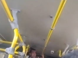 Motorista de ônibus denuncia desrespeito de passageiro durante viagem na Região Metropolitana do Recife