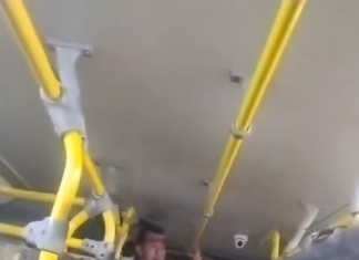 Motorista de ônibus denuncia desrespeito de passageiro durante viagem na Região Metropolitana do Recife