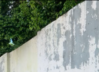 Vereador Neguim Dário visita escola no Km 14 e cobra melhorias estruturais